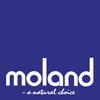 Moland