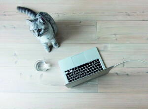 BerryAlloc Original - Fyr Lud Olie 