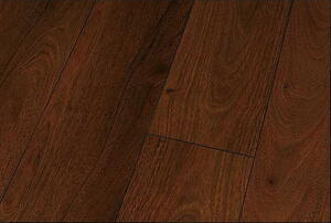 Canyon Andiroba Højglans 