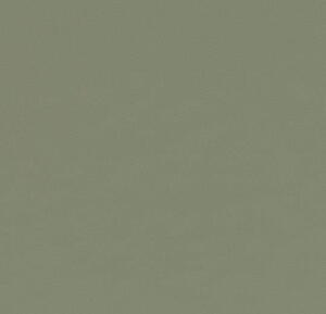 Forbo Furniture Desktop Olive