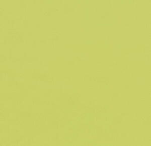 Forbo Furniture Desktop Spring Green