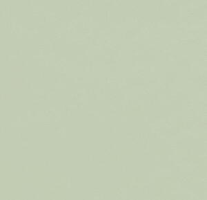 Linoleum Bordplade - Pistachio 4183 