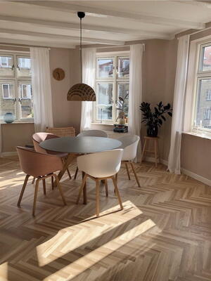 Ask Sildebensparket 16x60x420 mm.