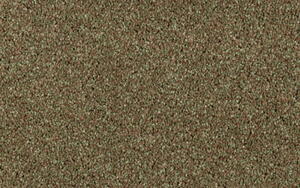 Danfloor Equinox Tones Moss Bell 061