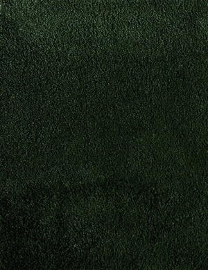 Ege Gloss Bottle Green 