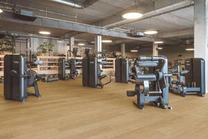 Pergo Extreme Navik proX - Prime Oak 