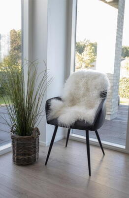 Mongolian hvidt lammeskind