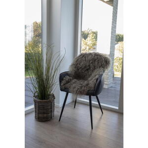 Mongolian mushroom lammeskind