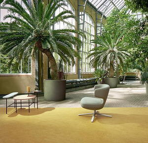 Marmoleum Fresco - Mustard