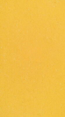 DLW Colorette linoleum, Banana Yellow