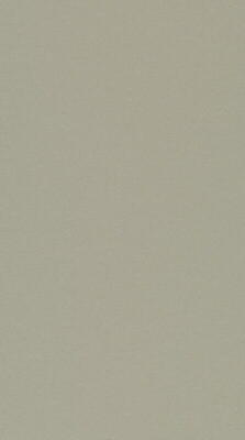 DLW Uni Walton linoleum, Warm Concrete Grey