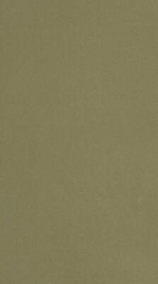 DLW Uni Walton linoleum, Olive