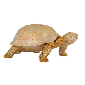 Dekoration Box Turtle