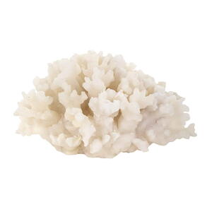 Coral Aaron dekoration