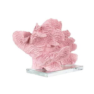 Coral Austera dekoration