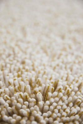 Mandarin orange 120903