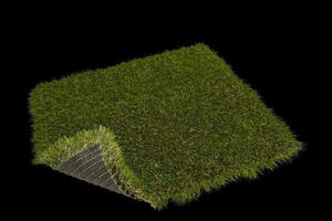 Græstæppe, Elite 6051 Apple