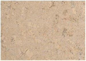 Ziro KorkLife 10 Korkgulv - Como Creme lak