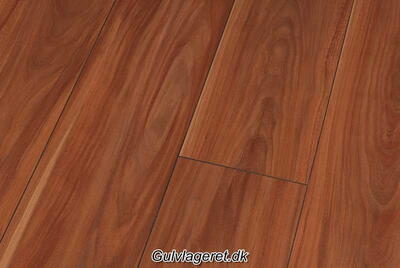 Canyon Plum Højglans 