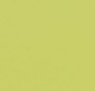 Forbo Furniture Desktop Spring Green