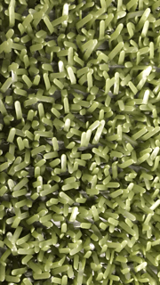 Astroturf Proffessional Grøn