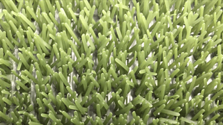 Astroturf måtte grøn 