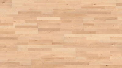 Haro parketgulv - Canadisk Ahorn Favorit Pm 