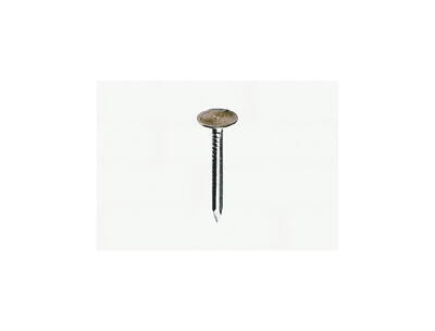 Papsøm 25 mm. blanke