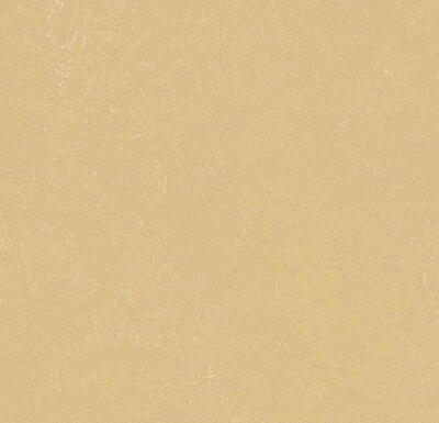 Marmoleum  Concrete - Venus