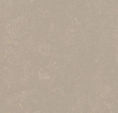 Marmoleum  Concrete - Fossil