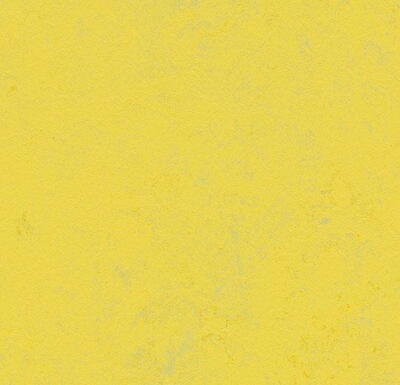 Marmoleum  Concrete - Yellow Glow