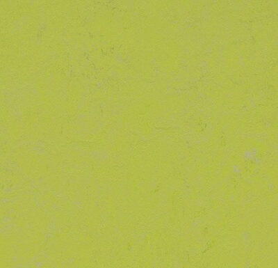 Marmoleum  Concrete - Green Glow