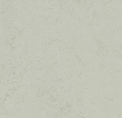 Marmoleum Concrete - Asteroid