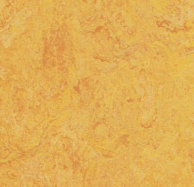 Marmoleum  Real - Dandelion