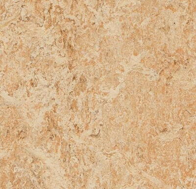 Marmoleum  Real - Shell