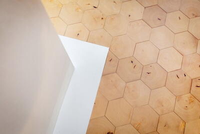 Klodsegulv - Centerpiece Hex i ubehandlet birketræ