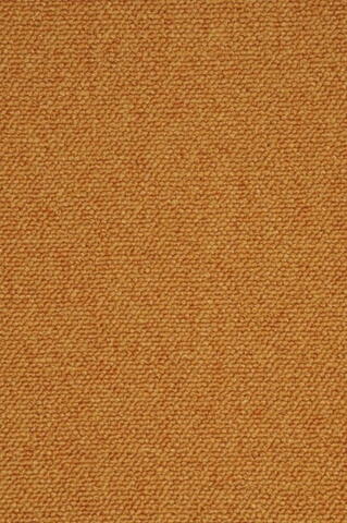 Ege Epoca Classic Okker 