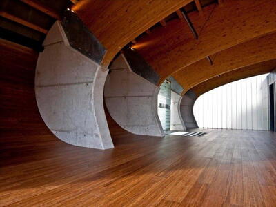 Moso Bamboo elite - Caramel High Density grundolieret 