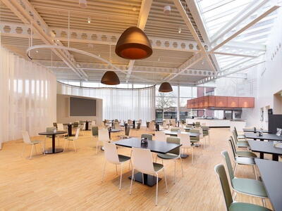 Moso bambus højkantsparket - Side Pressed Natural 10 mm.