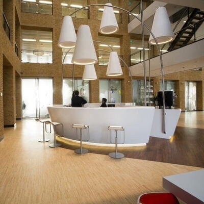 Moso bambus højkantsparket - Side Pressed Natural 10 mm.