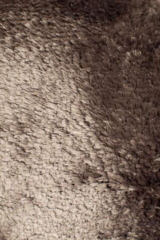 Devos, Teddy Chocolate 