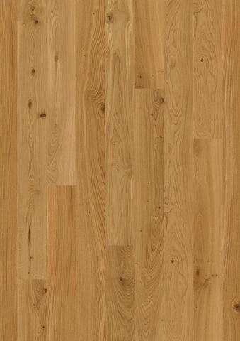 BOEN Eg Animoso, Plank 