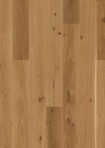 BOEN Eg Animoso, Plank 