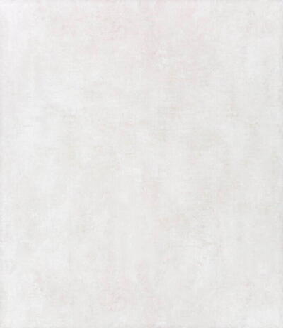 La Vida vinylgulv - Lys beton