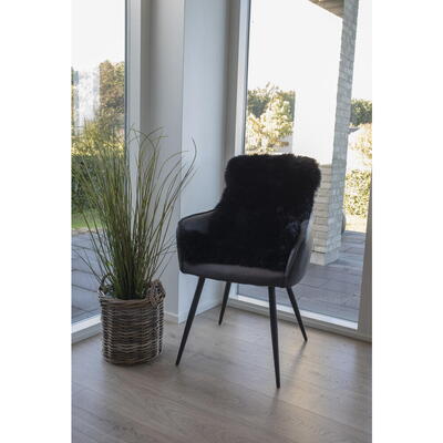 Sort New Zealandsk Lammeskind