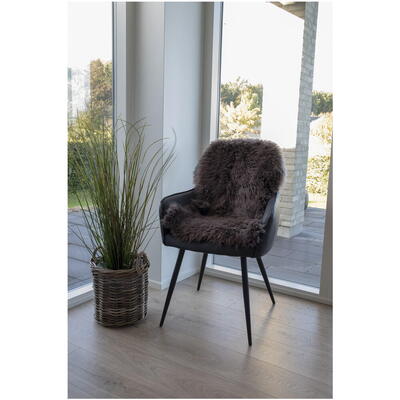 Brunt New Zealandsk Lammeskind