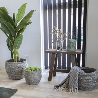 Barcelona Teak Bænk/skammel