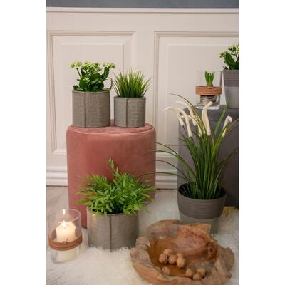 Ejby Puf i rosa velour 