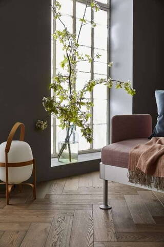 Segno, Sildeben trægulv, Eg Old Grey  