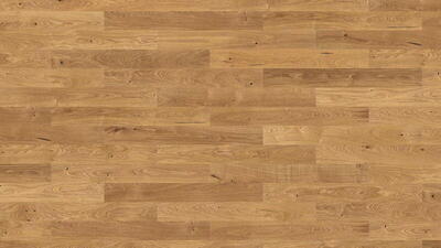 Sildeben storformat Prestige - Eg sauvage Pm 